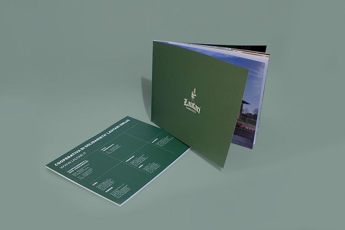 Company Brochure