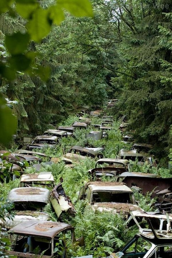 33 more breathtaking and incredible photos of abandoned places Blog of Francesco Mugnai #woods #photography #nature #forest #car