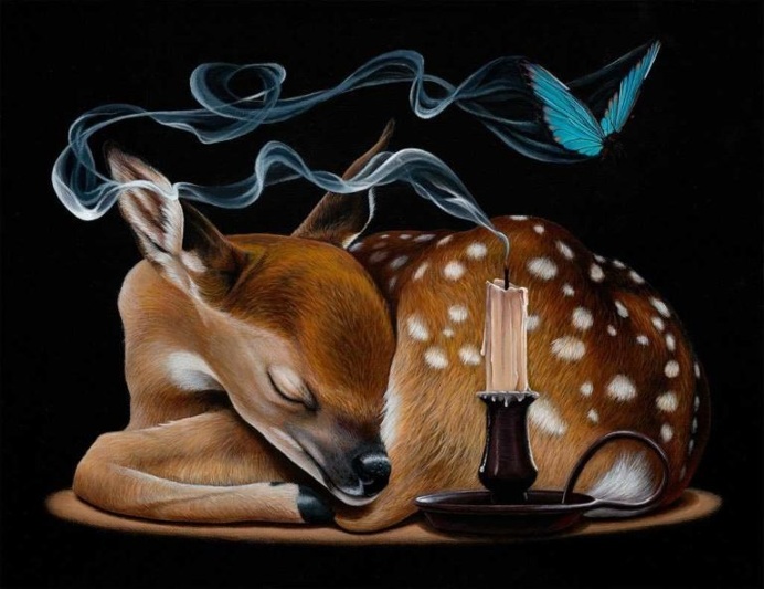 Meticulous Paintings of Animals and Objects by Jacub Gagnon