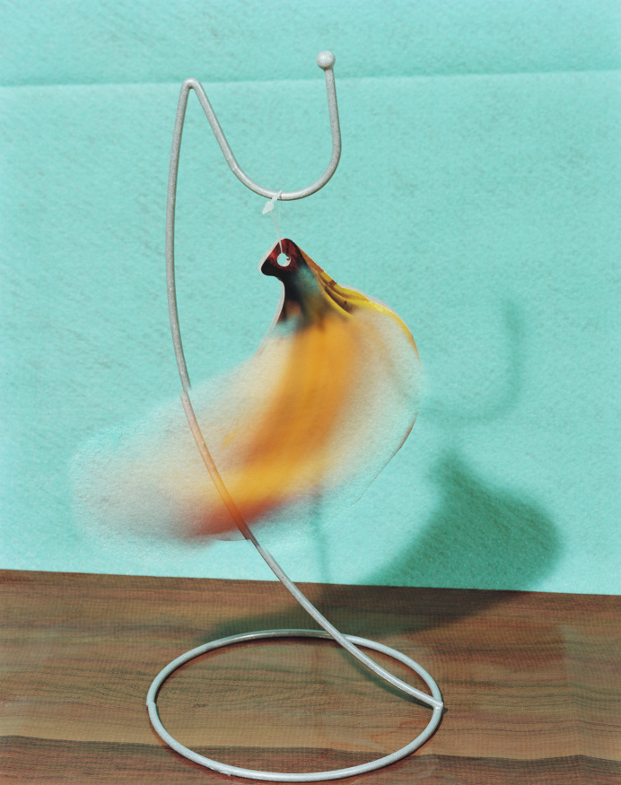 blalock_bananas.jpg (2373×3000)