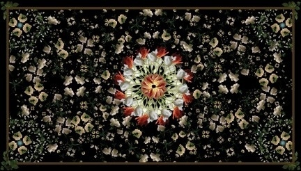 Diemar / Noble Photography | Artist » Lisa Creagh #flower #digital #photography #garden