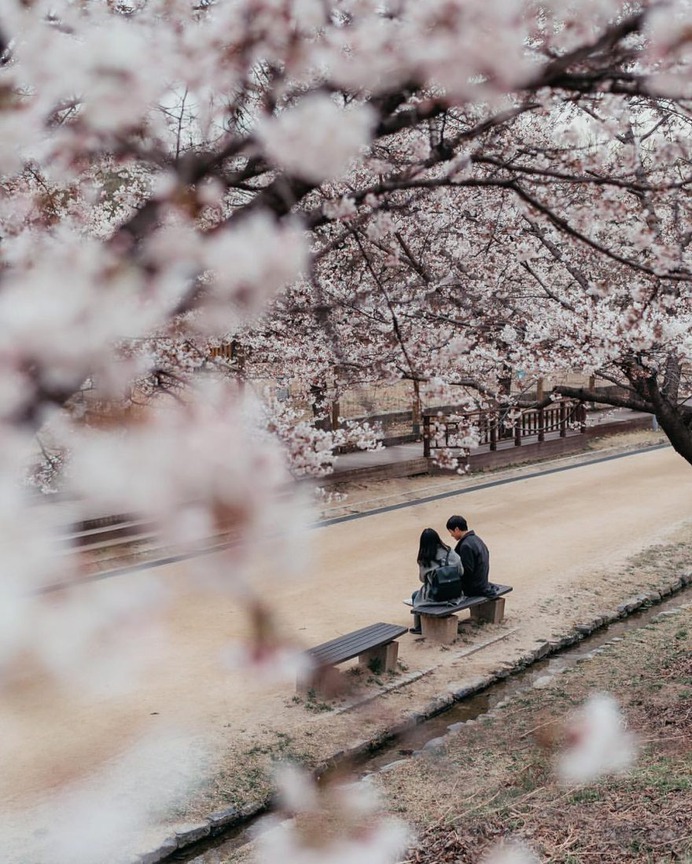 Majestic Street Photography in Seoul by Hojae Jung