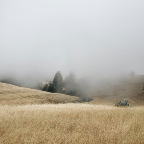 Emma Fineman | PICDIT
