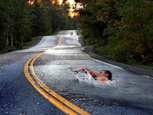 Jay Mug — Swimming Through Road #photography