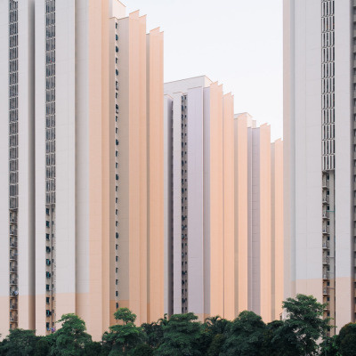 Free as a Bee #architecture