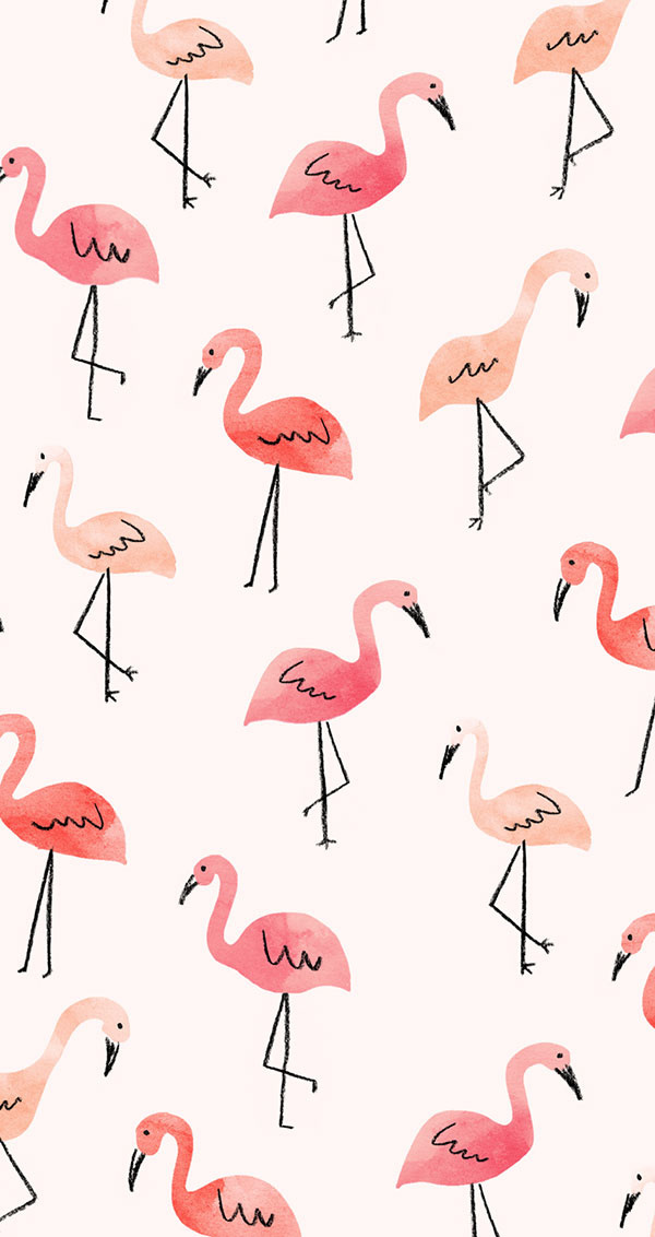 Wallpaper Iphone Wallpaper Pattern Flamingo And Iphone Image Inspiration On Designspiration