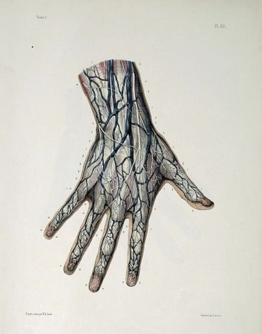 FFFFOUND! | ▲ #ffffound