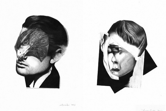 The Fox Is Black #bw #ei #kaneko #white #black #illustration #portrait #hawk #animal
