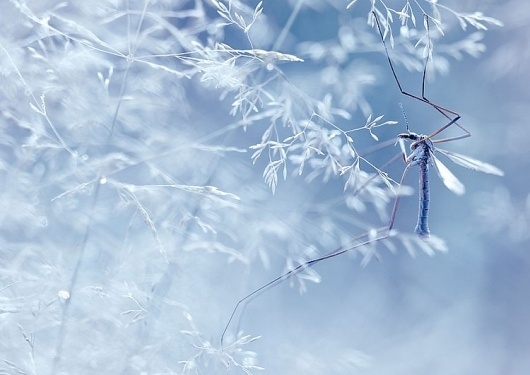 Graphic-ExchanGE - a selection of graphic projects #photography