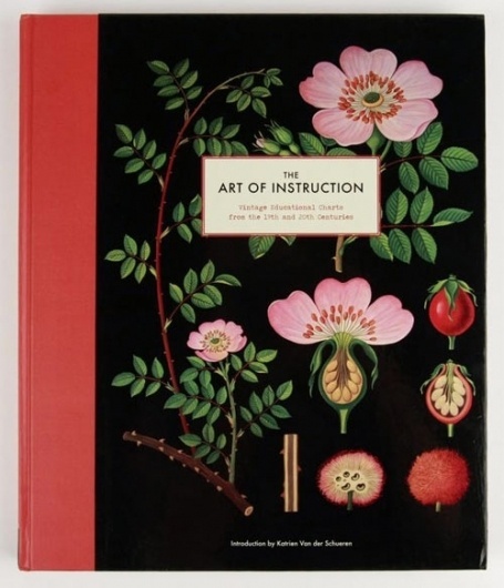 art of instruction + contest | Design*Sponge #cover #book