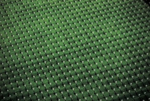 tumblr_l7g5bjssn61qa7whxo1_500.jpg (500×338) #photography