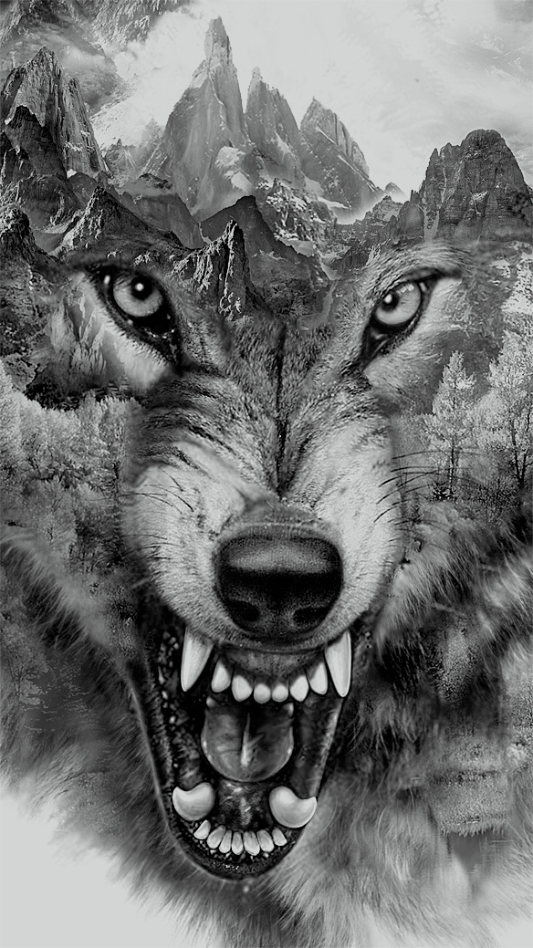 Wolf Collage | printed tee design for Zara