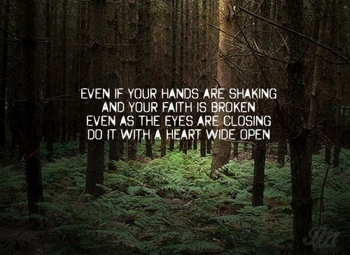 John Mayer #quote #photo #brown #forest #green