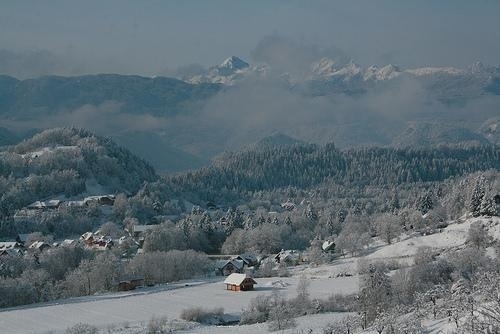 Photography by Alen Mataln | Professional Photography Blog #inspiration #photography
