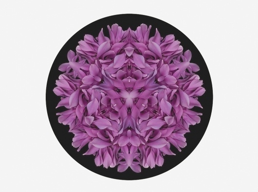 Garlands : Lee Mawdsley #lee mawdsley