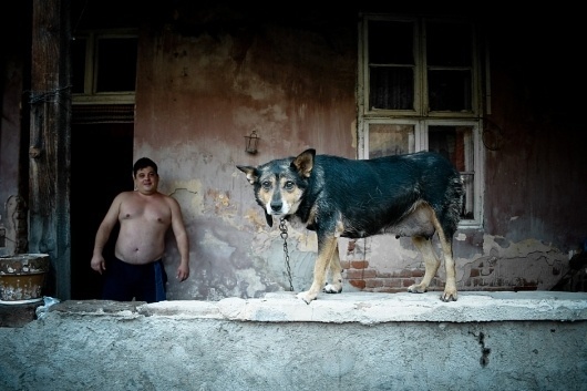 Martin Silvestre - Graphic Design - Web Design and Photography #trip #photography #roumania #road