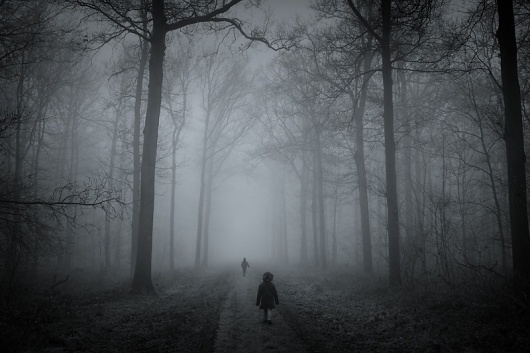 In The Wood, photography by Mirjam #forest #children