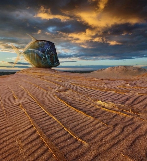 Photo Manipulations by Dariusz Klimczak #inspiration #photo #photography #manipulations