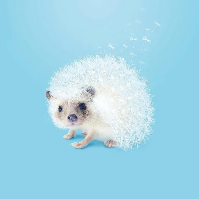 Minimalist, Colorful and Dreamlike Instagrams by Artem Pozdniakov
