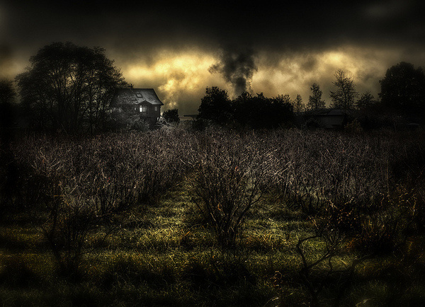 Landscape Photography by Christopher Drake #inspiration #photography #landscape