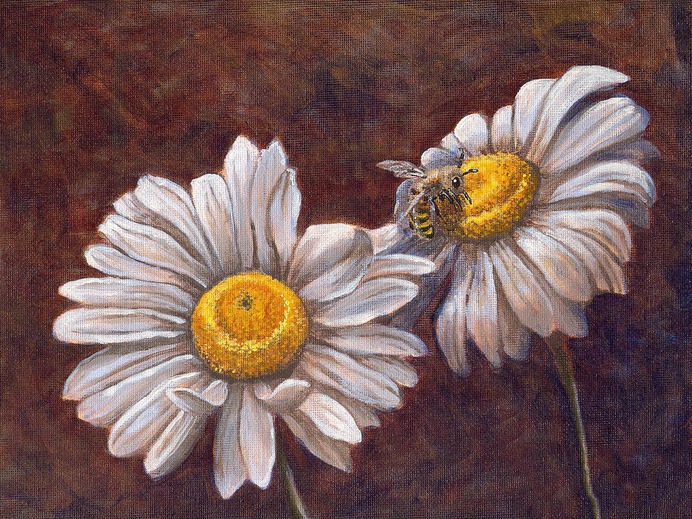 daisy painting & daisy paint by number #painting