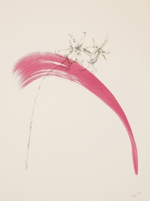 Lines of Beauty by Venetia Norris #venetia #illustration #norris #art #drawing