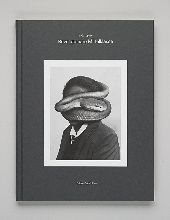 Revolutionäre Mittelklasse #book #snake