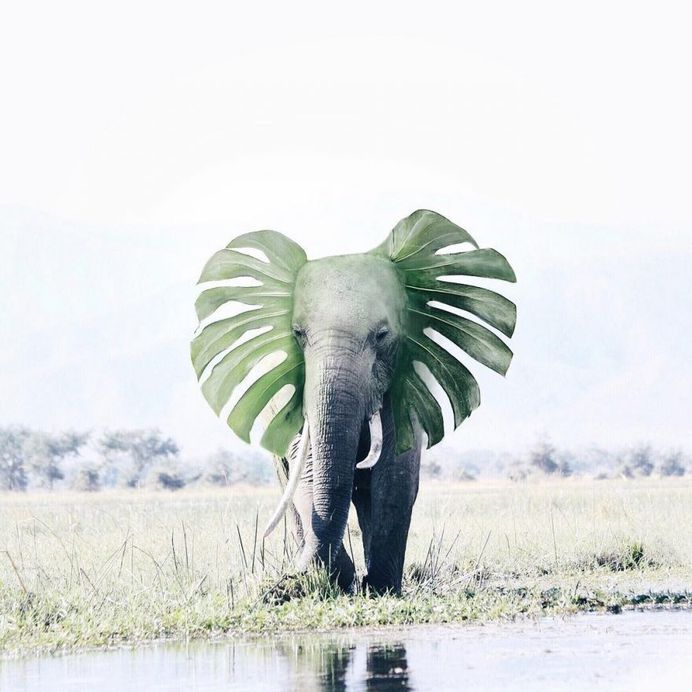 Surreal and Dreamlike Photography Manipulations by Luisa Azevedo