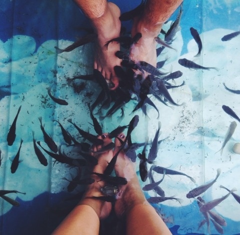 Erika Pham | PICDIT #photo #photography