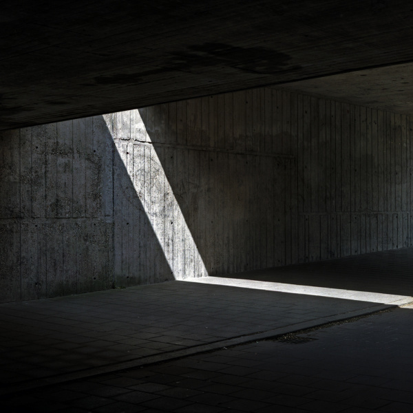 Sander Meisner | PICDIT