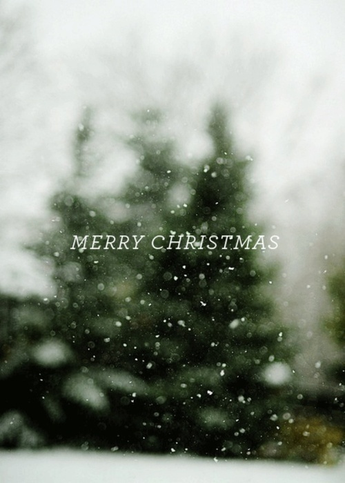 Merry Christmas #tree #photo #blur #snow #christmas #on #type