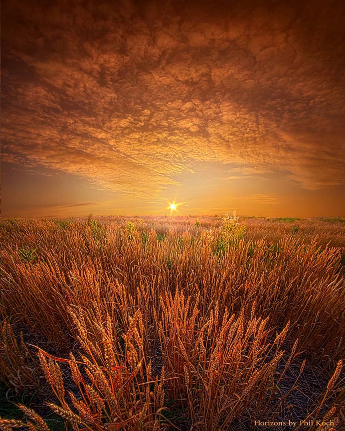 Amazing Wheather and Landscape Photography by Phil Koch