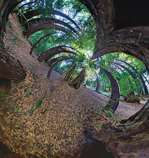 Alternate Perspectives by Randy Scott Slavin #inspiration #photography #landscape