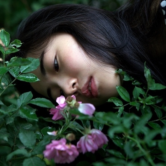 Untitled | Flickr - Photo Sharing! #rose #photography #girl