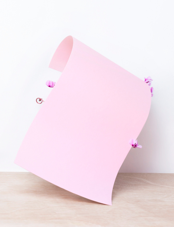 Martina Lang | PICDIT