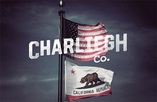 California Republic » Every Reason to Panic #flags #type #california