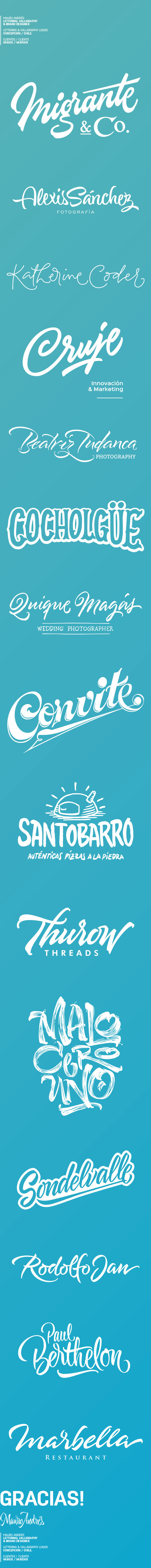Lettering & Calligraphy Logos
