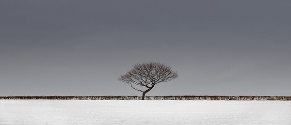 Nicholas Livesey #inspiration #photography #landscape