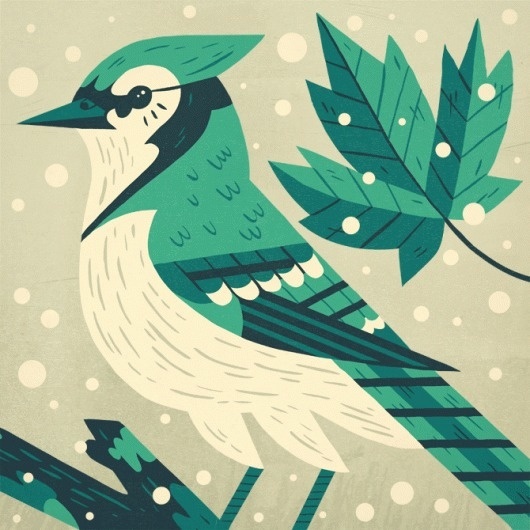 Owen Davey | BLDGWLF #leaf #snow #bird #illustration #tweet