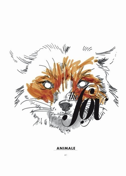 THE FOX // #flevo #rosco #fox #design #graphic #digital #illustration #colors #poster #animal #typography
