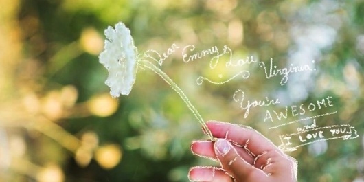 404378_10151201073465322_586895321_22544524_1469930046_n.jpg (960×480) #traced #lou #virginia #flower #emmy