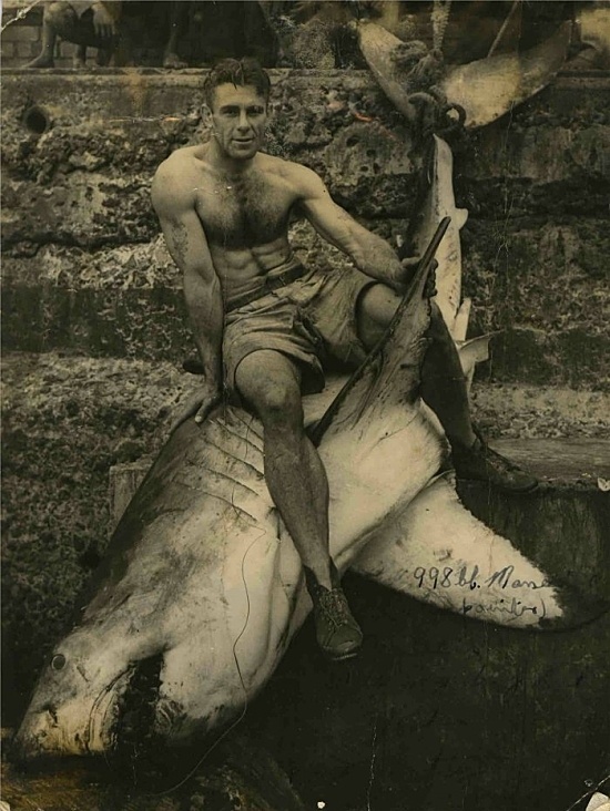 Man concours the shark #history #fishing #shark #durban