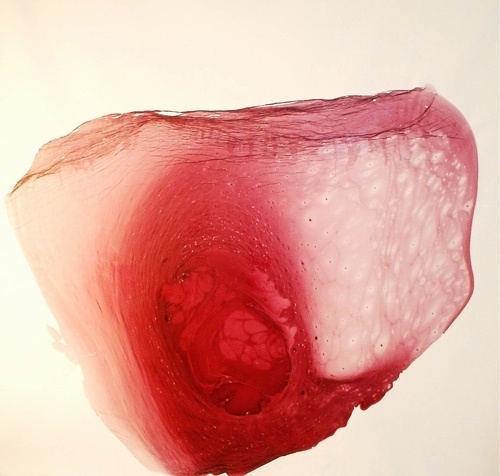 Incompossible, adj. – Unable to exist if something else... - but does it float #painting #drawing #art