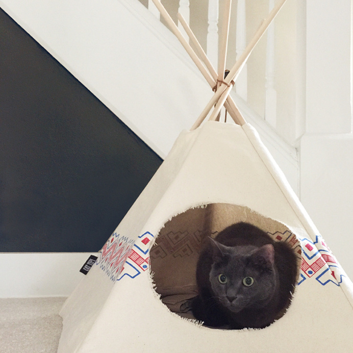 cat teepee