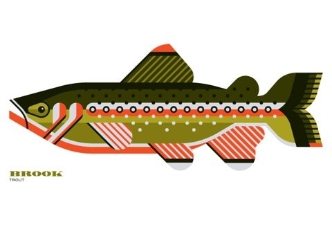 FFFFOUND! | Sage | Mint Design #fish #trout