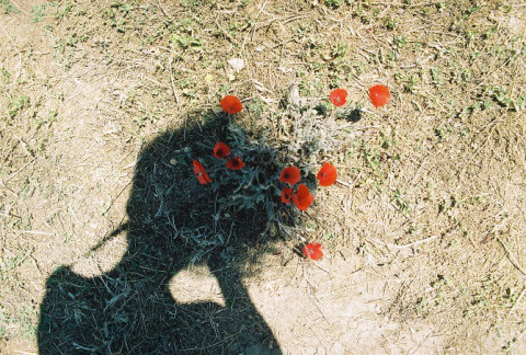 Eylül Aslan | PICDIT #photo #photography