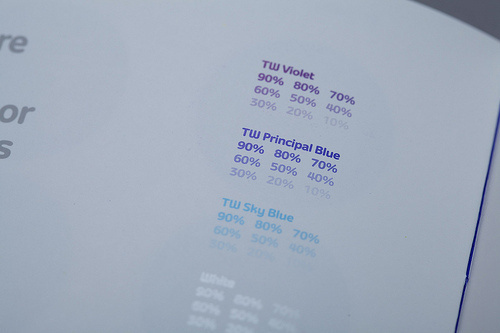 Telewest Identity Guidelines Brand Manual #telewest #guidelines #brand #identity #manual