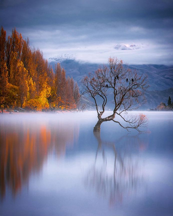 #newzealand: Fine Art Landscape Photography by Rachel Stewart