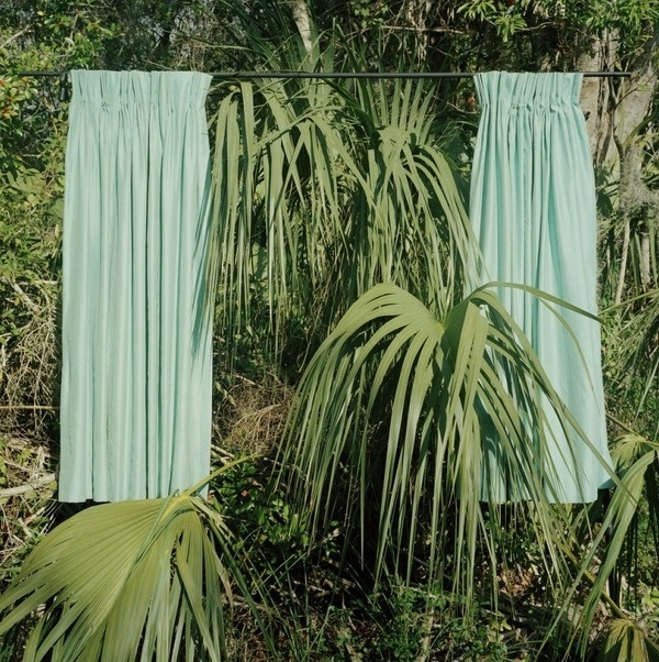 Curtains in nature #palm #curtains #tree #turquoise #nature #jungle #green