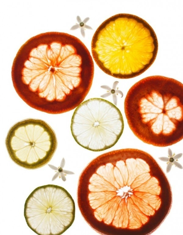 food photography maren caruso 9 #ingredients #photography #conceptual #food